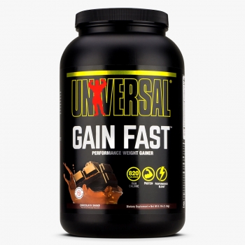 gain-fast-3100-2310g