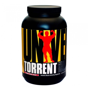 torrent kg