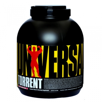 torrent kg
