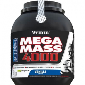 giant-mega-mass-4000-3-kg