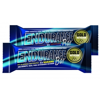 endurance-bar-60g-chocolate